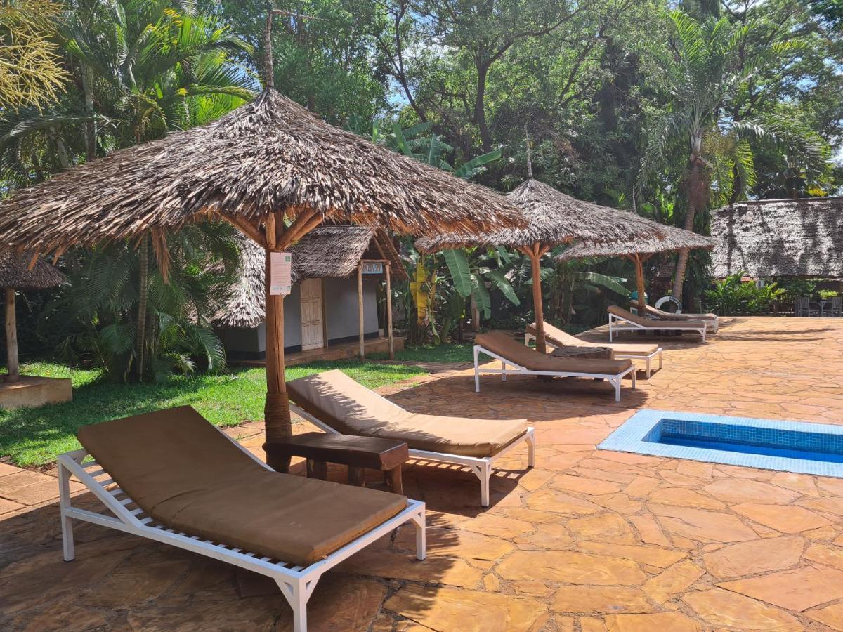 Honey Badger Lodge Moshi Exterior foto