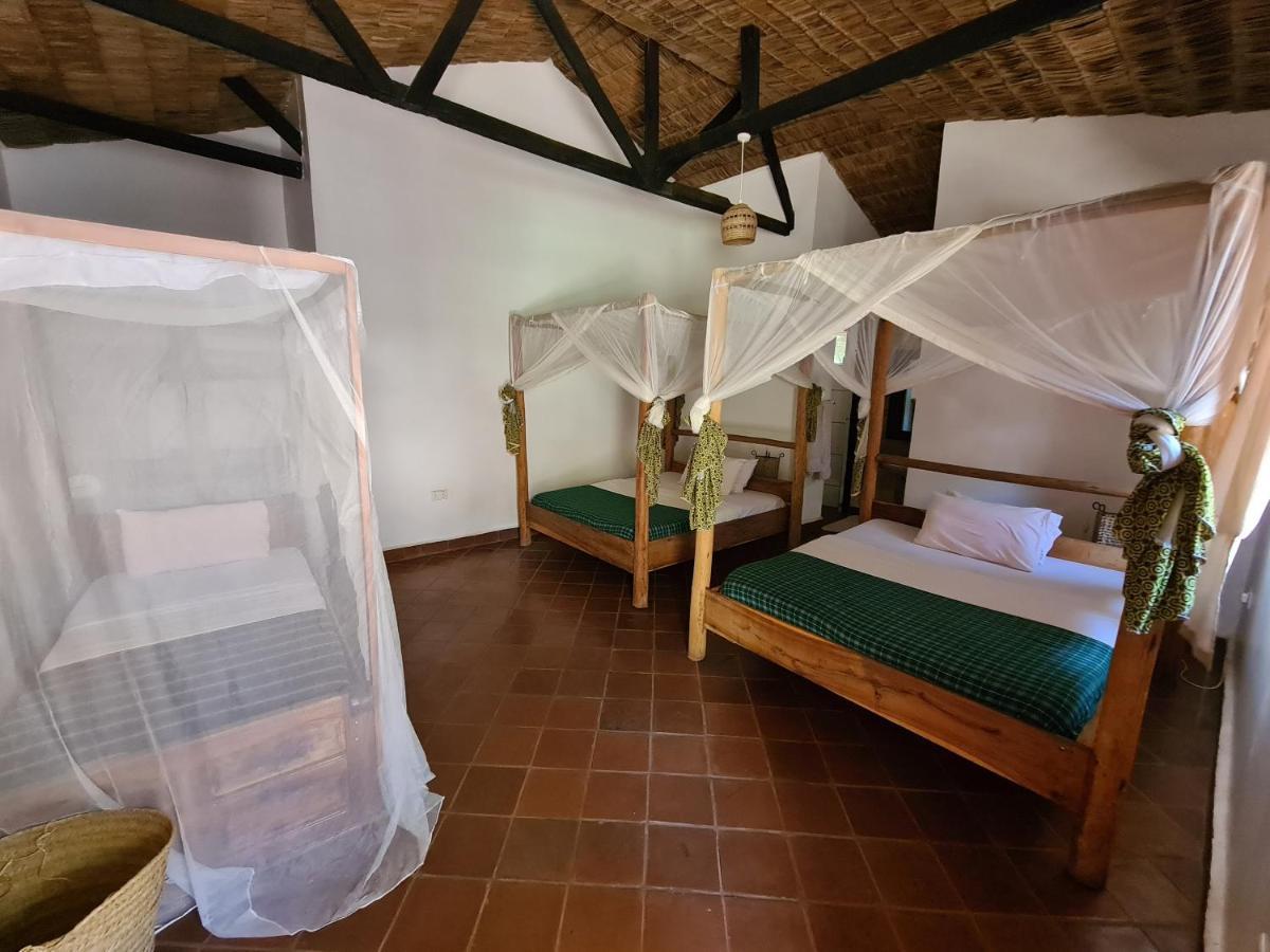 Honey Badger Lodge Moshi Exterior foto