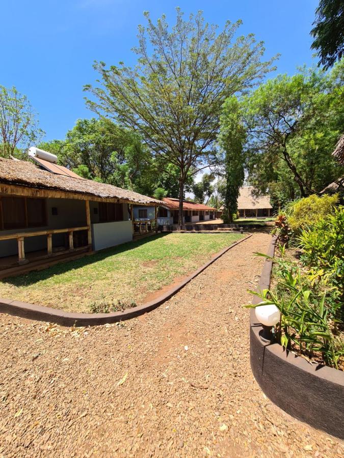Honey Badger Lodge Moshi Exterior foto